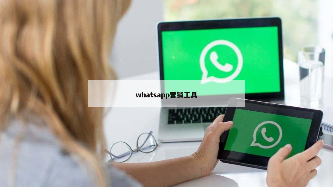 whatsapp营销工具